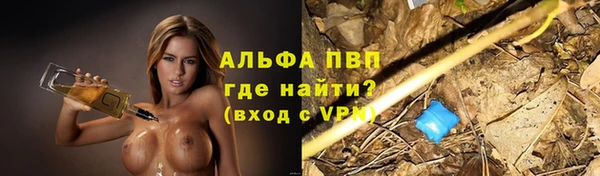 винт Новозыбков