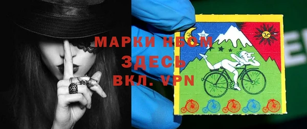 хмурый Няндома