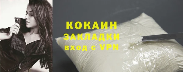 хмурый Няндома