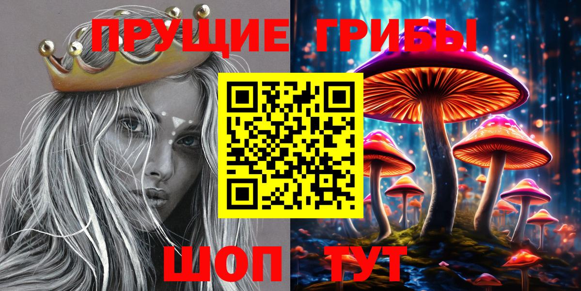 Новокубанск  Псилоцибиновые грибы прущие грибы  Вход с VPN 